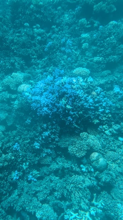 Strand Cleopatra Luxury Resort Makadi Bay