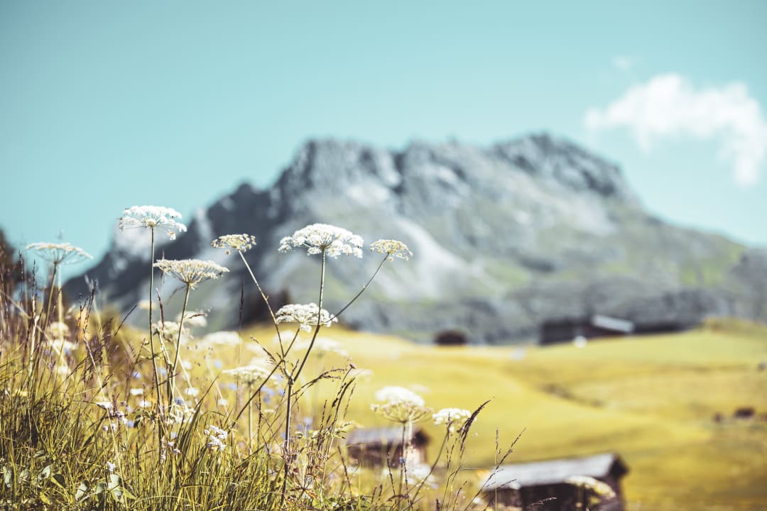 Ausblick Hotel Goldener Berg - Your Mountain Selfcare Resort