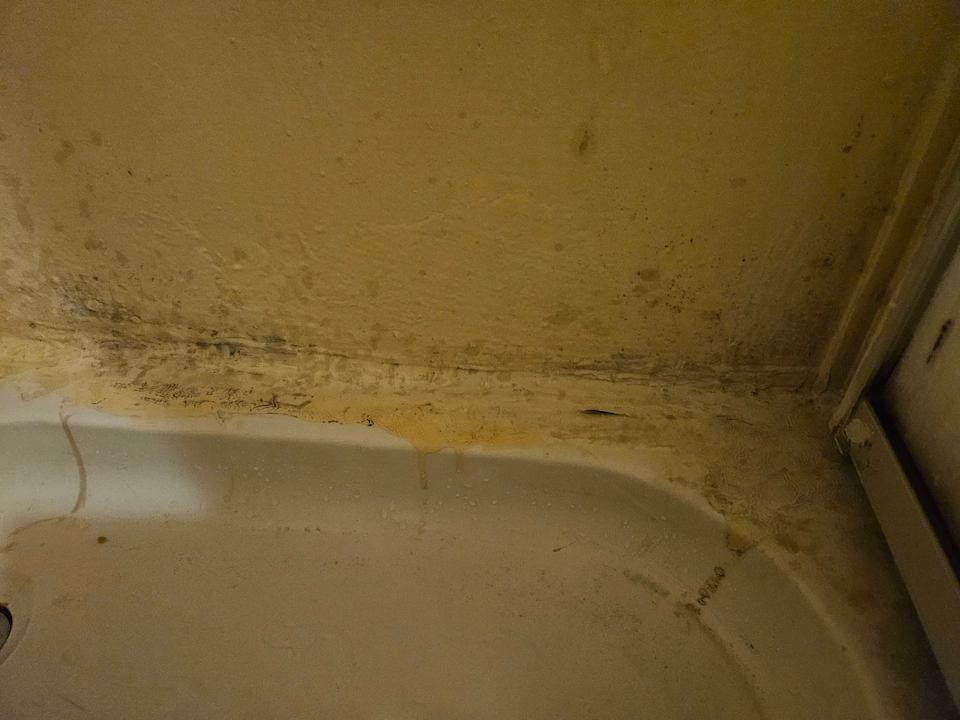 Zimmer Clover Magic Nova Beach