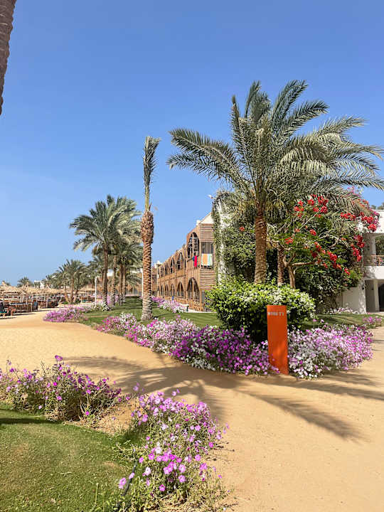 Gartenanlage Desert Rose
