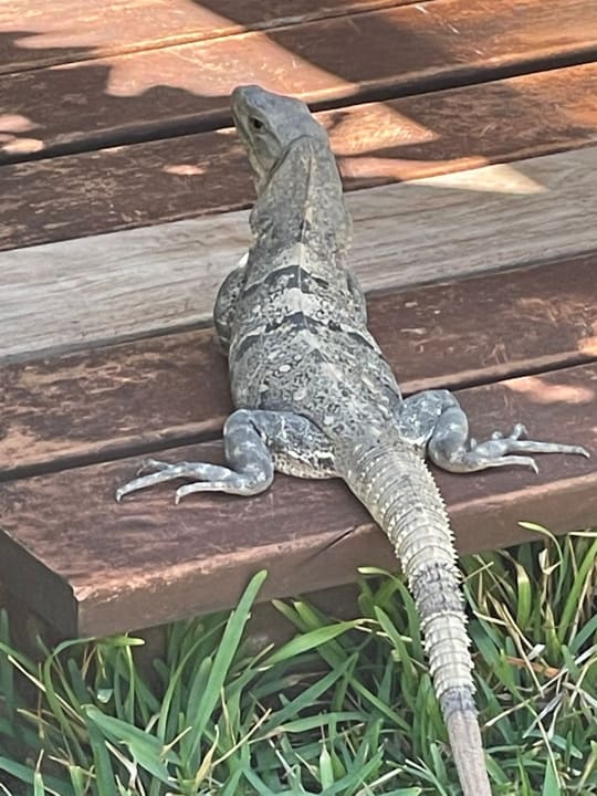 Sonstiges Akumal Bay Beach & Wellness Resort