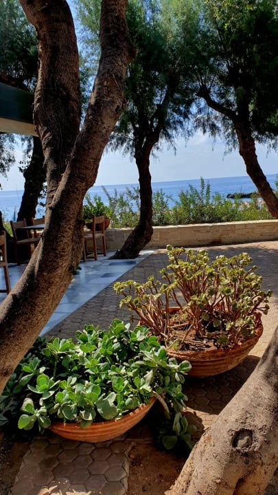 Gartenanlage Kakkos Beach Hotel