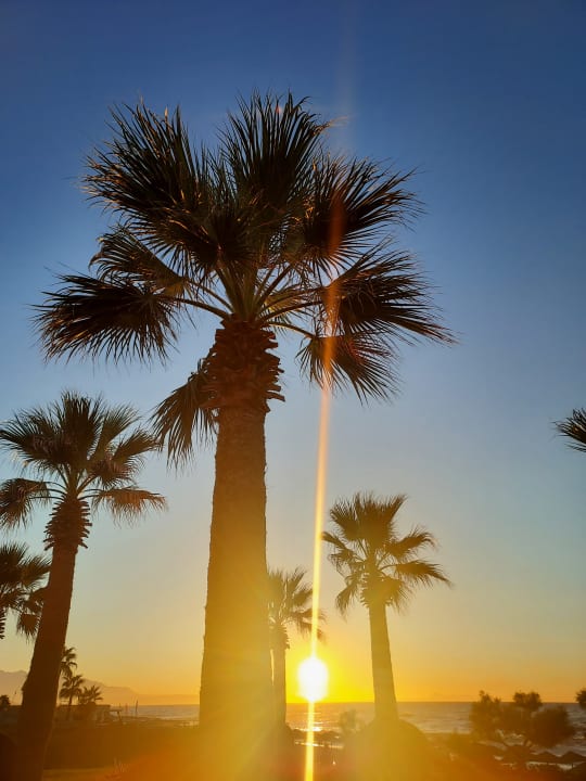 Gartenanlage Rethymno Palace