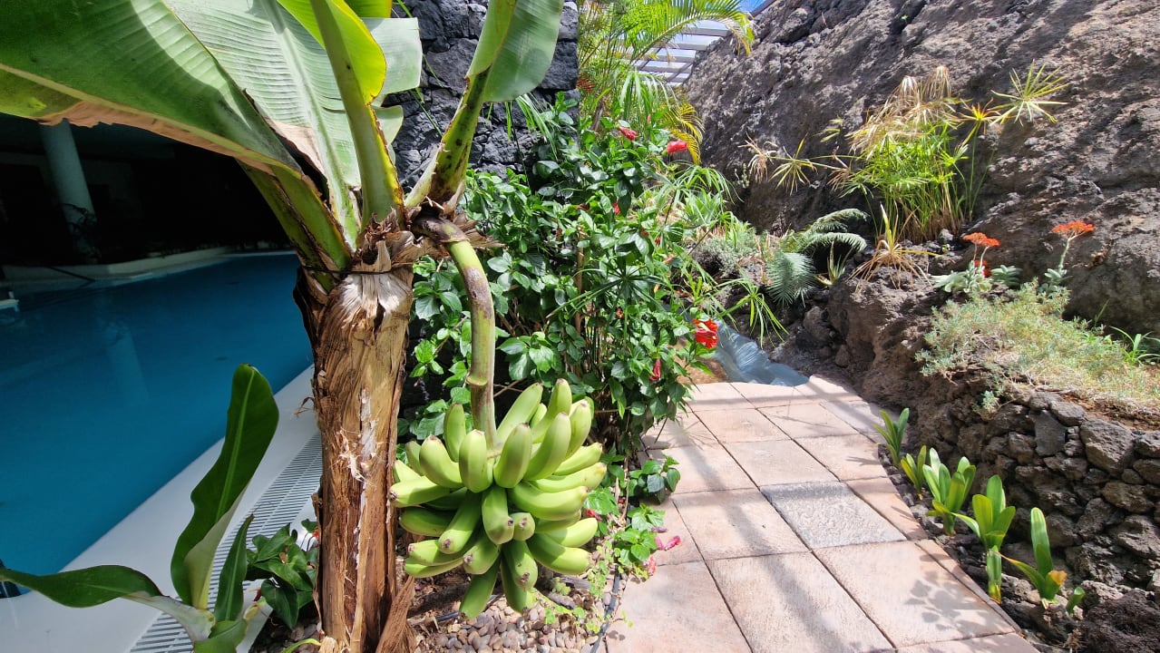 Pool La Palma Jardin