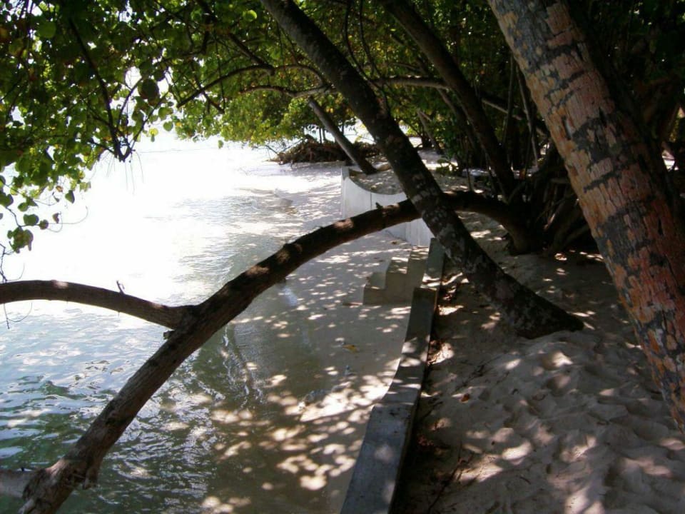 017 Strand nach rechts fotografiert Vilamendhoo Island Resort & Spa