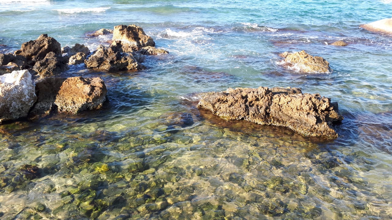 Strand Cactus Beach