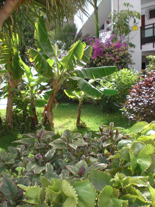 Exteriores Hotel Taboga