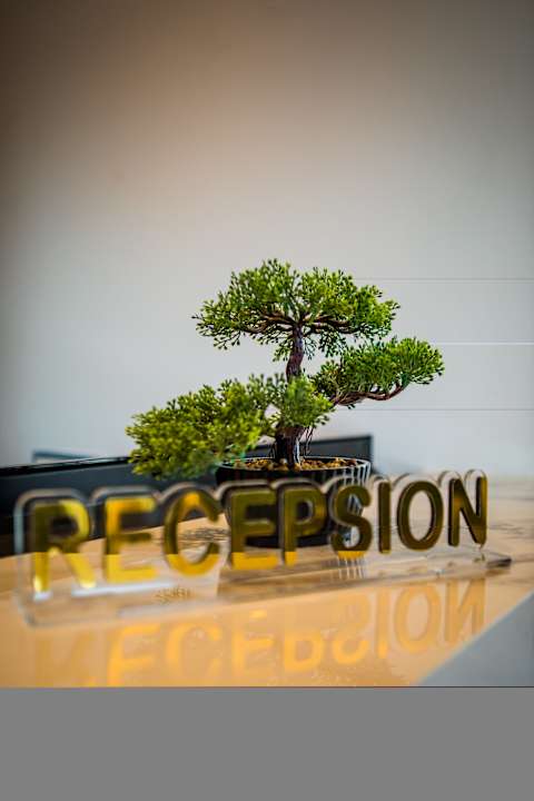 Lobby Hotel Bonsai
