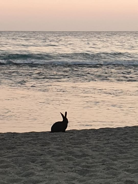 Strand Labranda Alantur Resort