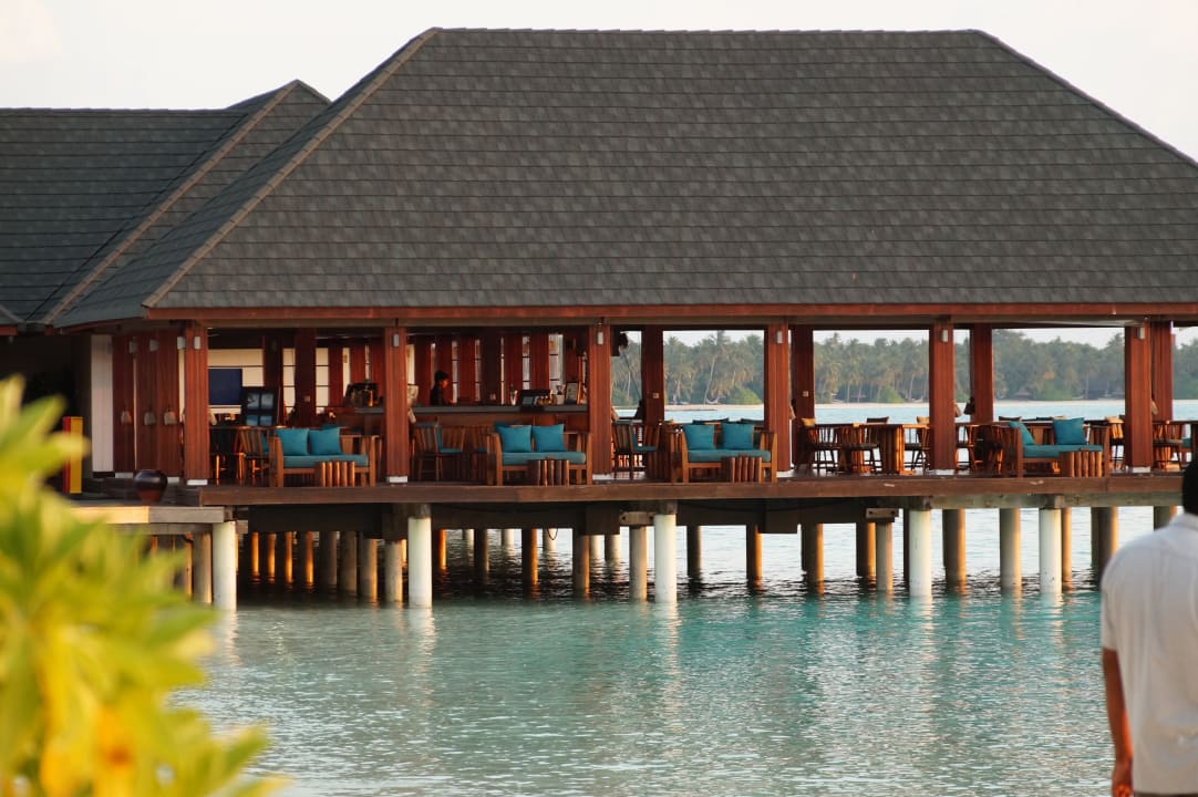 Gastro Summer Island Maldives