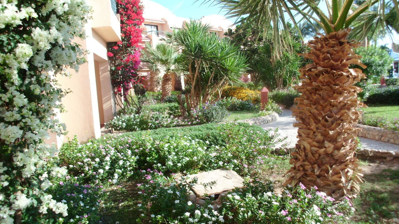 Zimmerblick Ali Baba Palace Hotel