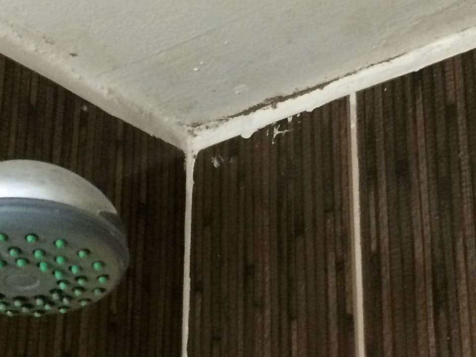 Schimmel im Bad an der Decke  smartline Meridian