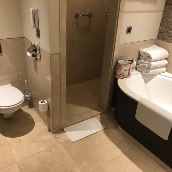 Zimmer JA Palm Tree Court