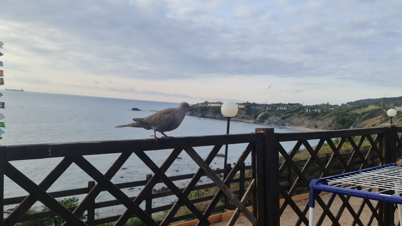 Ausblick Villaggio & Camping Miramare