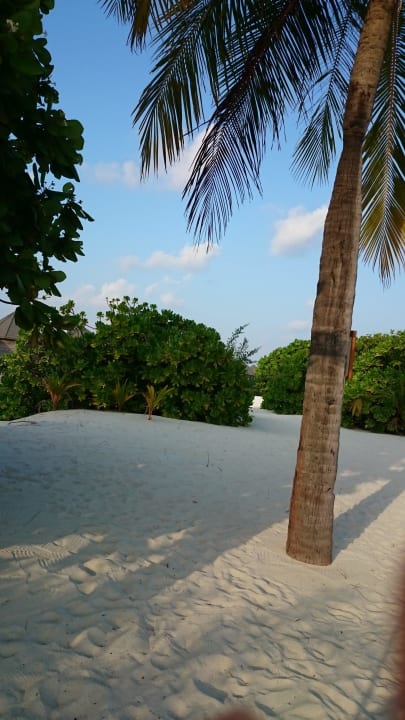 Idyllisch, Sangu Kuredu Island Resort & Spa