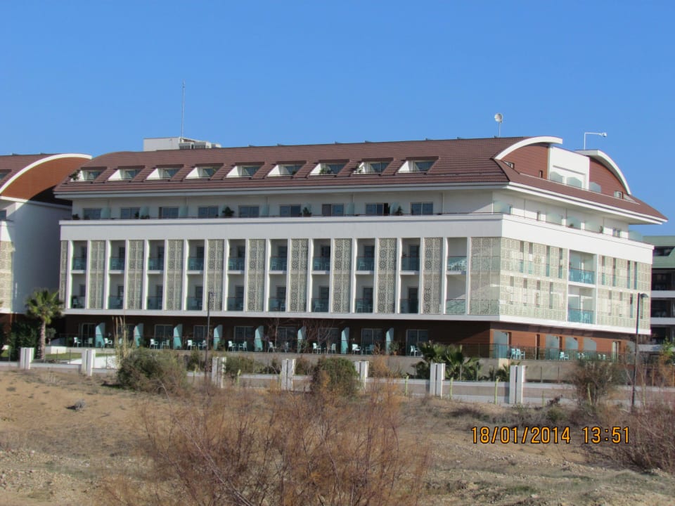 Trendy Verbena Sentido Trendy Verbena Beach