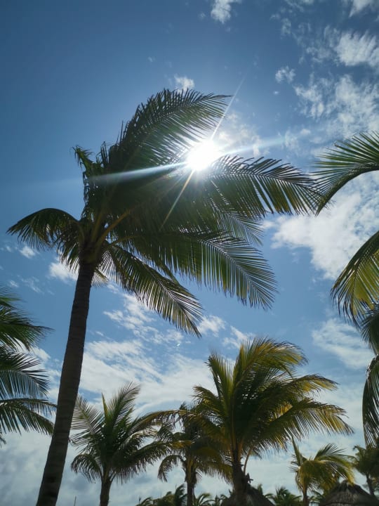 Strand Viva Azteca by Wyndham - All Inclusive Resort