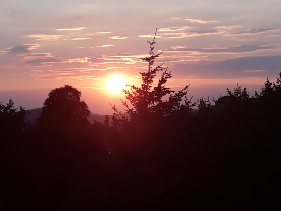 Ausblick Landhotel Wüllner