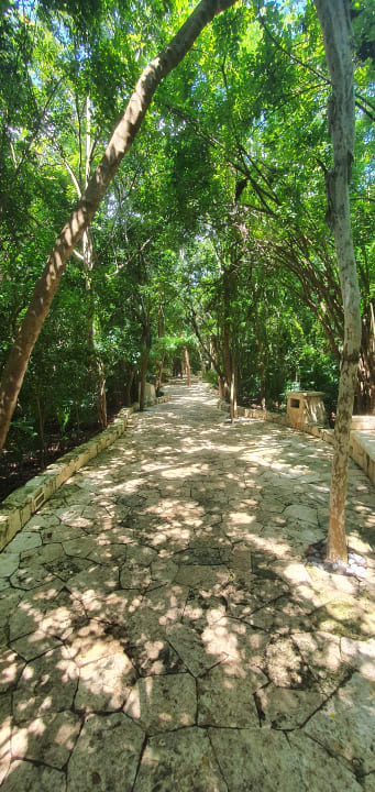 Gartenanlage Catalonia Royal Tulum Beach & Spa Resort - Adults only