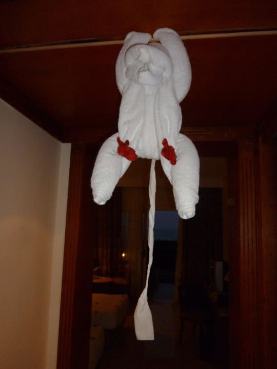 Room-Boy  Malikia Resort Abu Dabbab