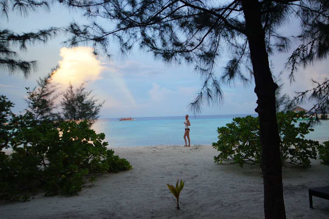 Strand Summer Island Maldives