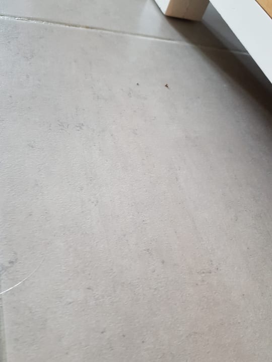 Zimmer Playa Vista Azul