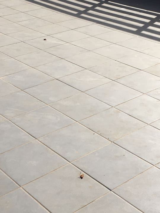 Sonstiges Servatur Alameda de Jandía