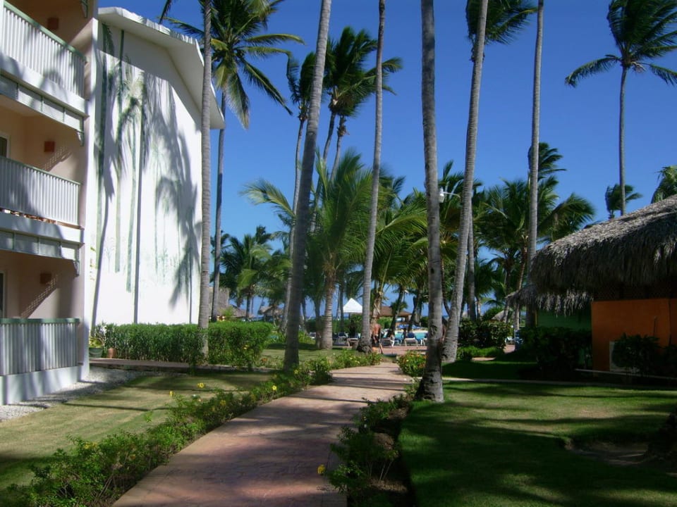 Auf dem Weg zum Strand VIK Hotel Arena Blanca