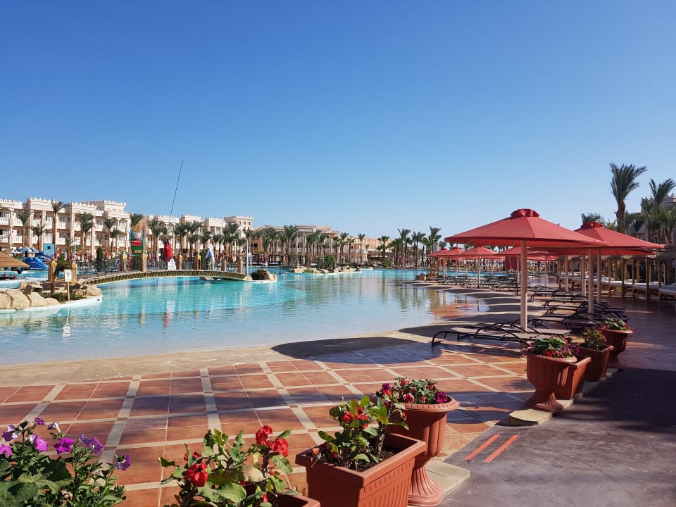 Pool Pickalbatros Palace Resort