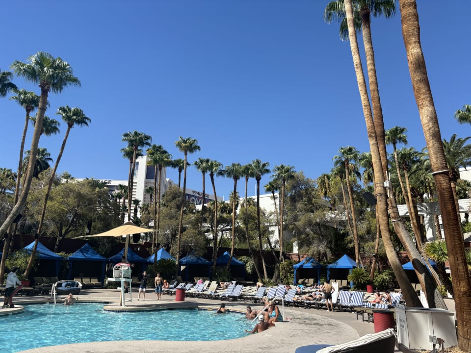 Pool Treasure Island - TI Las Vegas Hotel & Casino