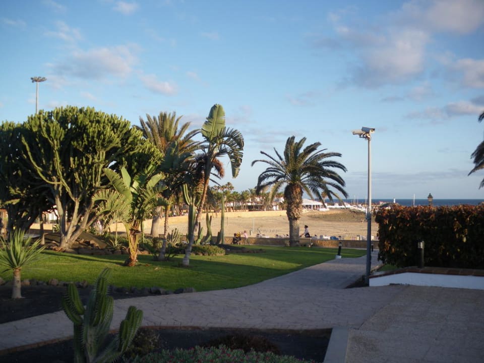 Blick v. Pool auf Strand Barceló Fuerteventura Castillo