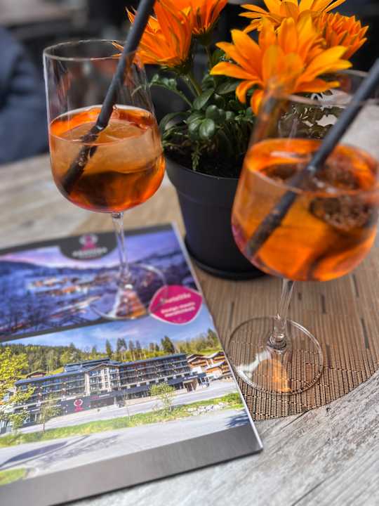 Gastro Hotel ADAPURA Wagrain
