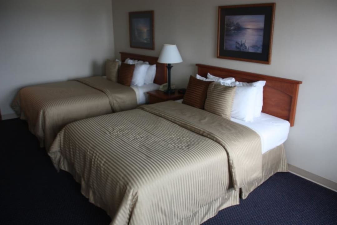 Schönes Zimmer Magnuson Grand Hotel Lakefront