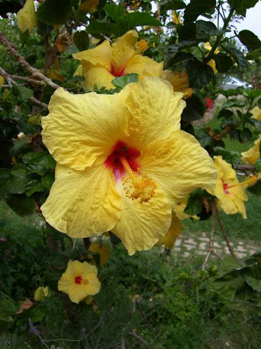 Einfach nur schön  Agriturismo Villa Luca