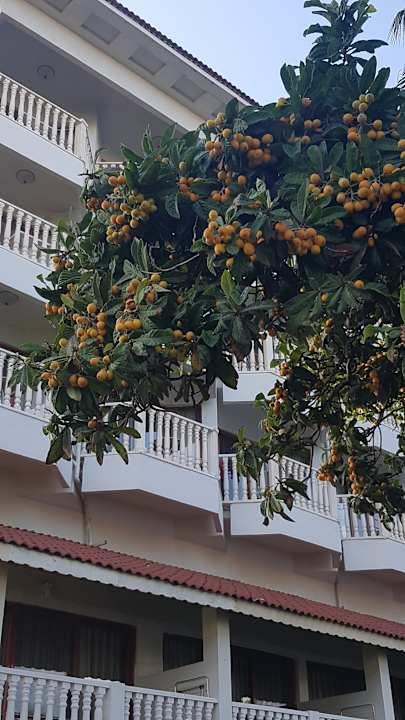 Außenansicht Hotel Defne Garden