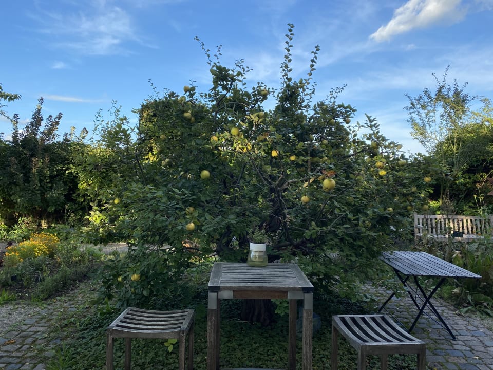 Gartenanlage Hotel Kloster Hornbach