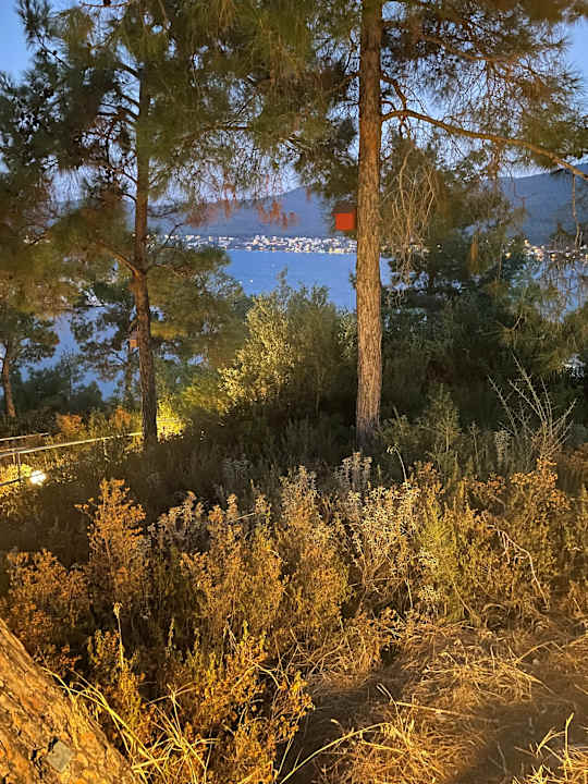 Ausblick La Blanche Island Bodrum