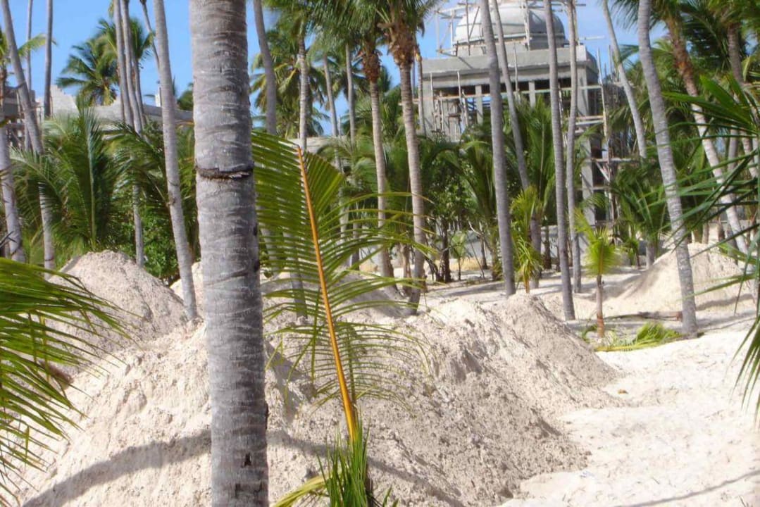 16 Riu Palace Punta Cana Hotel Riu Palace Punta Cana