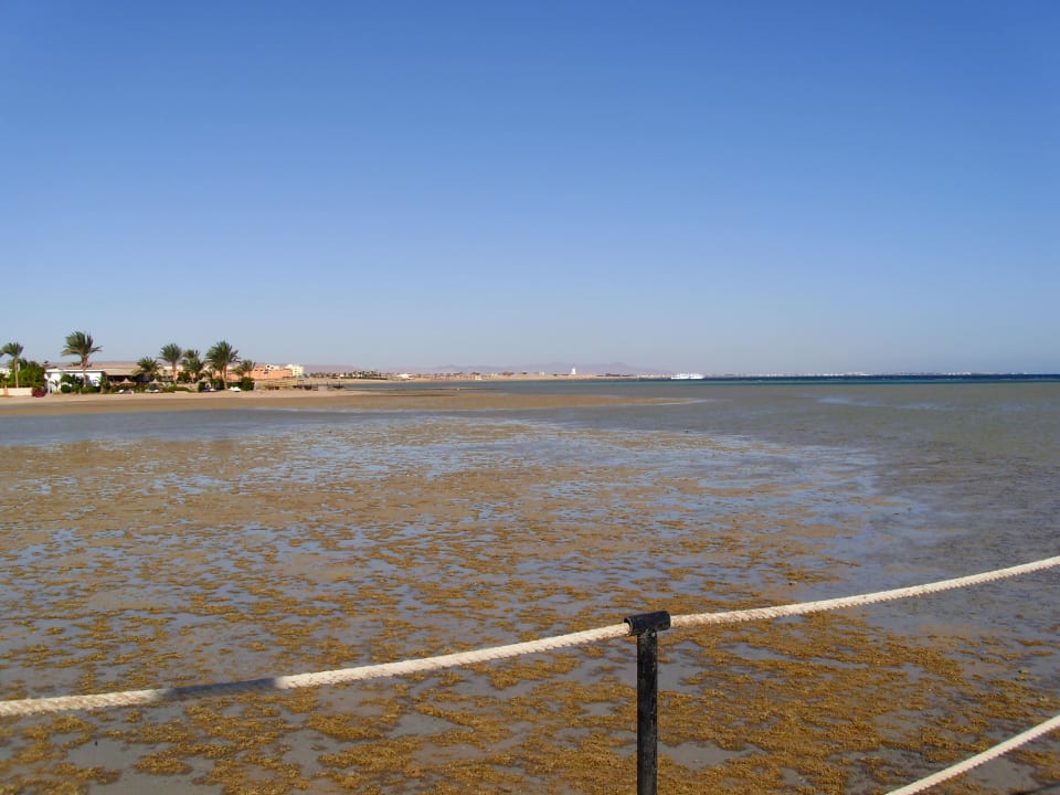 Ebbe Golden Beach Resort