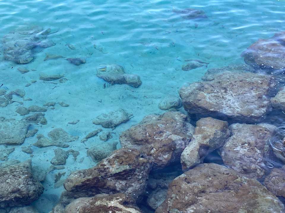 Sport & Freizeit Universal Hotel Cabo Blanco - Adults Only