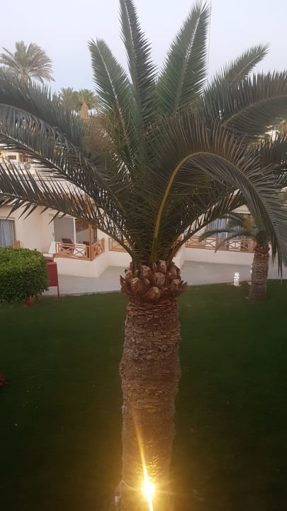 Ausblick Meraki Resort (Adults Only)