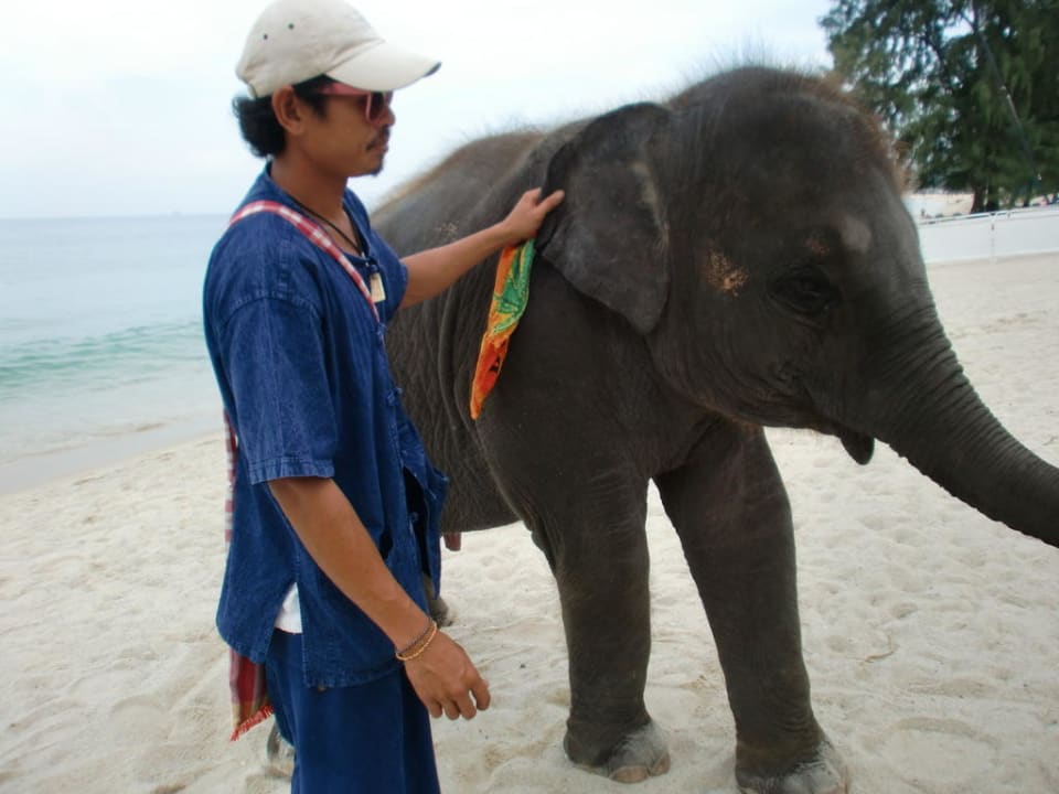 Baby Elefant Best Western Premier Bangtao Beach Resort & Spa