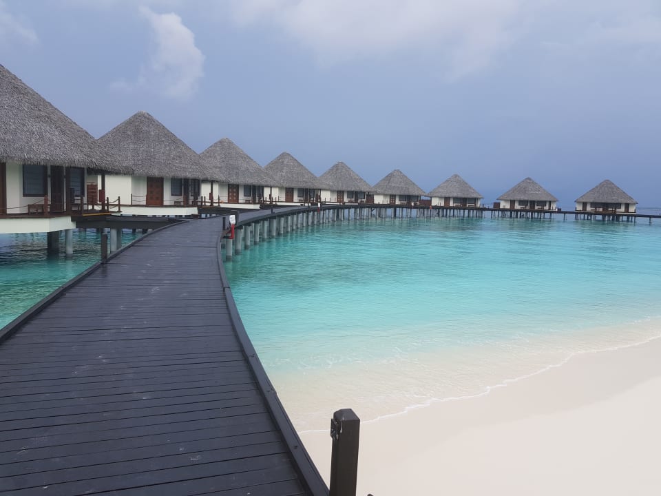 Wasserbungalows Adaaran Select Meedhupparu Island Resort - Premium All Inclusive