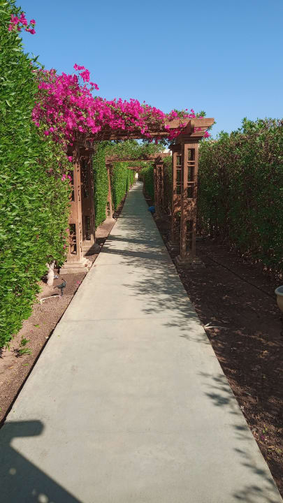 Strand Iberotel Casa Del Mar Resort