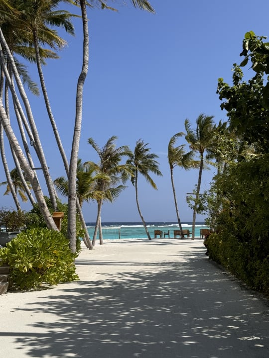 Strand TUI BLUE Olhuveli Romance
