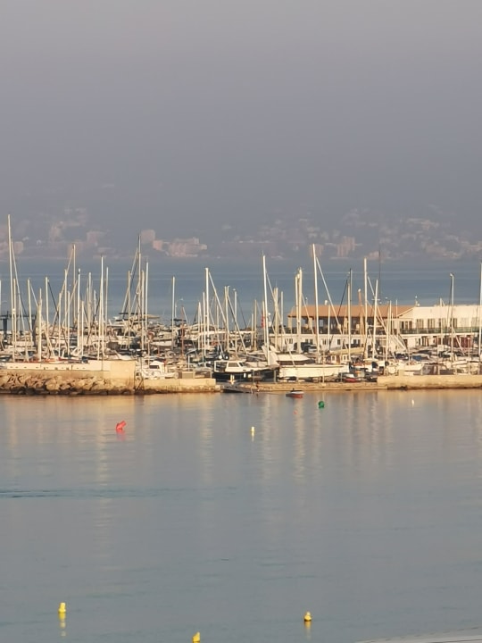 Ausblick Aparthotel Fontanellas Playa