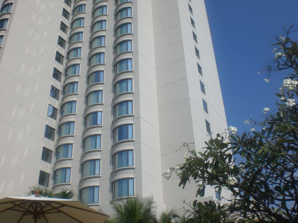 Am Pool Hotel Century Park