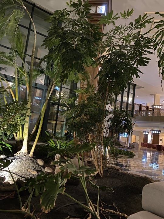 Lobby Hipotels Natura Palace