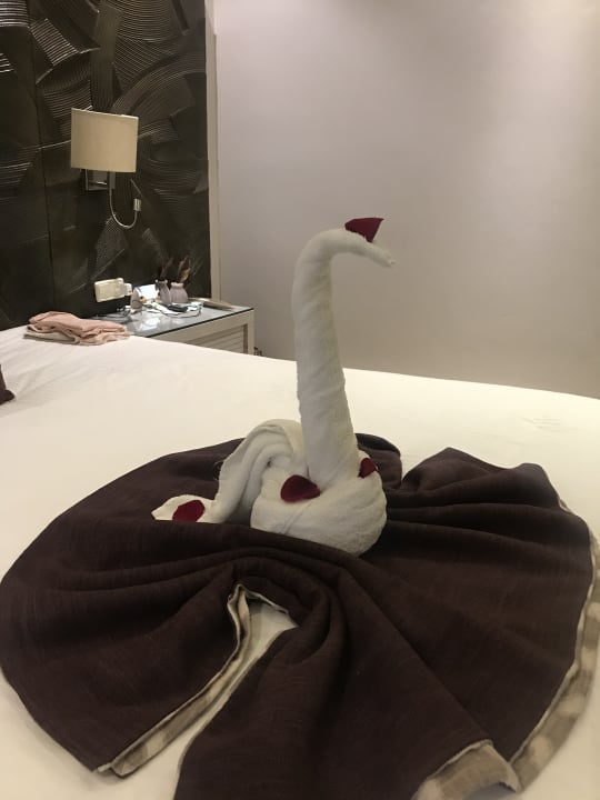 Zimmer Secrets Royal Beach Punta Cana - Adults only