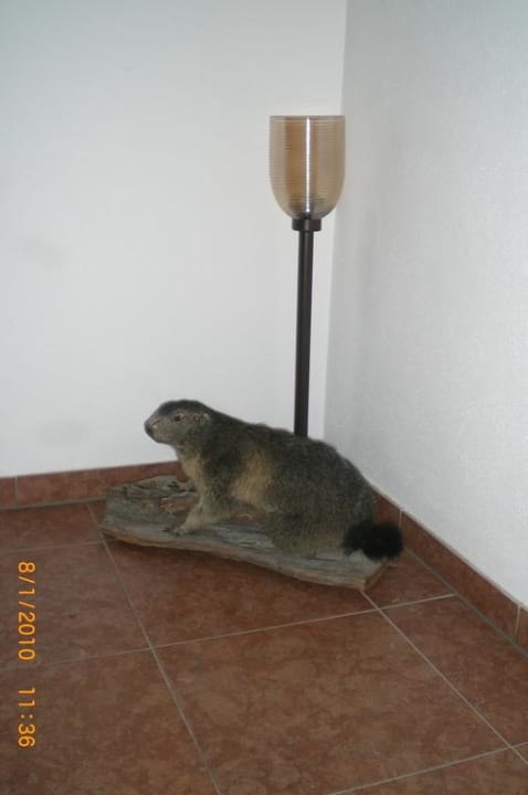 Liebevolle Treppenhaus-Deko Hotel Bergzeit by seven